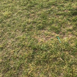 Meet your Posher, Jess